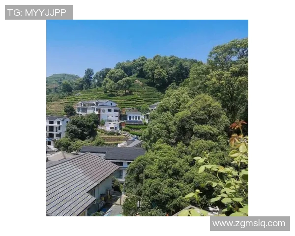 探索独具特色的民宿之旅，享受温馨舒适的居住体验，感受每一处细节带来的美好回忆