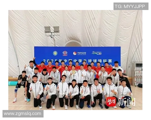 南京排球队在锦标赛中的战术运用与表现分析探讨